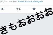 【元AKB48】大島涼花のイメージビデオが全然抜けなかった…