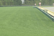 【競馬】お前ら芝2400m何分で走れんの？