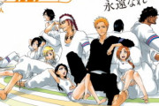 【BLEACH】黒崎一護「うーん……性格のルキア、若さの織姫、主従のネリエルかぁ」