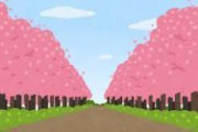 【マジ…？】おまえらが知ってる桜の品種、最大3つ説ｗｗｗｗｗｗｗｗｗ