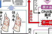 「神戸ビーフ」　偽物が横行、DNA鑑定で一斉摘発を検討、