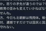 【悲報】丸山穂高「これが敗戦国の末路か」