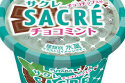 サクレのチョコミント食ったら思った以上にミントだった