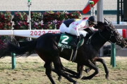 【競馬予想】[1]第59回弥生賞ディープインパクト記念(GⅡ) / 2022