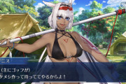 [FGO]水着カイニスは新所長に口説かれた感があって良い、凄く面倒見がいい話のわかるあんちゃんになったね。