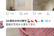 【悲報】中川翔子さん、猫に洗濯機のホースを抜かれてしまい部屋が水浸しに・・・(画像あり)