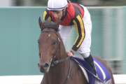 【競馬】ステルヴィオ安田記念回避
