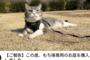 【嫉妬】もちまる日記さん、猫のためだけに土地を購入ｗ
