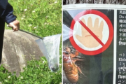 【公園でセミ乱獲の外国人】「幼虫を採取しないで！」注意しても「ナニ言ッテルカ、ワカラナイー」ペットボトルに大量に詰めて…専門家は「中国でセミは郷土の味、高潔のシンボル」