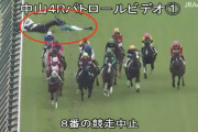 【悲報】中山4Rで小林脩斗くん落馬