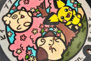 韓国人「韓国人が驚いた日本のマンホールの蓋デザインがこちら…」その魅力とは？ 韓国の反応