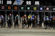 川崎競馬来たんだが自由席ないし有馬記念並みに人多いし…