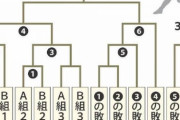 【悲報】侍ジャパン10年ぶりの世界一、もう忘れられる