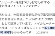 【悲報】オイルヒーターとかいう暖房、ガチで富豪しか使っちゃだめな家電だったｗｗｗｗｗｗｗｗｗｗ