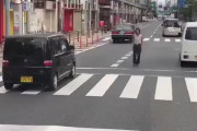 【悲報】道路のド真ん中にたたずむオッサン、怖すぎて草。これ見えちゃいけないやつだろｗｗｗｗ