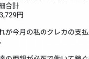 【悲報】某有名ドラクエユーザー「親のクレカで月32万課金したｗどうだ凄いだろ？ｗ」←これｗｗｗ