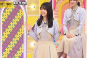 この可愛いロボット買いたいｗｗｗ【乃木坂46】