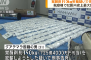 グアテマラ国籍の男、航空機で覚醒剤約190キロを密輸　末端価格125億円