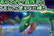 「”羊毛フェルト”で自作したポケモンしか使えない縛りプレイ」がすごいｗｗ