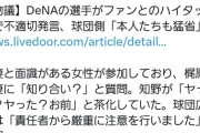 ファンとのハイタッチ会でDeNA選手が不適切発言　球団から厳重注意
