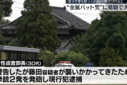 金属バットで襲いかかってきた男に警察官が2発発砲　警察「拳銃の使用は適切だった」