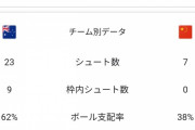 ブラジル人を10人帰化させた中国、豪州に0-3で惨敗してしまうｗｗｗｗｗｗｗｗｗｗｗ