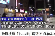 歌舞伎町「トー横」周辺で 冬休みを前に一斉補導