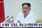 【北朝鮮】生きてた金正恩、対韓国軍事行動を「保留」