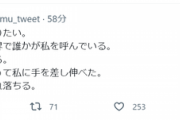 【悲報】syamuさん「もう楽になりたい。向こうの世界で誰かが私を呼んでいる」