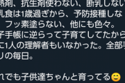 自然派ママ「反母子手帳の子育てがずっと孤独だった。でも今はTwitterがある」