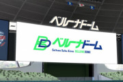 昨日の西武 VS ロッテ(ベルーナドーム)の観客数ｗｗｗｗｗ