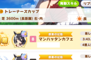 【ウマ娘】今回は差しが強いというよりもこのウマ娘が強いだけな気もする…