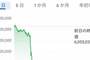 ビットコイン完全に逝く