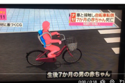 【悲報】無謀自転車ママ「…(ｼｬｺｼｬｺｼｬｺ!」車「！！！！」