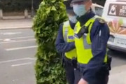 アイルランドの女性警官、植物にビビり叫んでしまうｗｗｗｗｗｗｗｗｗｗｗｗｗ