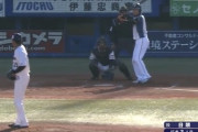 【朗報】新庄剛志(48)のバッティングｗｗｗ（GIF）