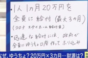 【動画】れいわ・大石あきこ「1人20万円」 カンニング竹山「財源は？」 大石「塩漬けに」