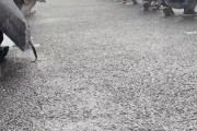 コミケ、豪雨で大惨事に