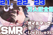 Vtuber 【夜見れな】夜見が耐久配信できないのも騒ぐ鳩が居るからなんだぞASMRすらやるな言い出す鳩いるからな←初期のコメとそれにキレるれなを思い出す