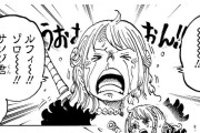 【悲報】今週のワンピース、ナミが酷すぎて読者ぶちギレｗｗｗｗｗ【漫画】