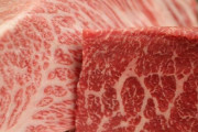 精肉店「屠殺という仕事を知ってほしい。この仕事がないとおいしいお肉が食べられないことを忘れないで」