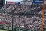 【画像】 慶應のチアと応援が可愛すぎると視聴者ざわつく 「坂道に入れそうなくらいかわいい」「多分甲子園で1番」「レベチで草」
