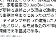 【悪夢の陰謀論】鳩山元首相「タイミングを図って（沢尻エリカを）逮捕したとしか思えない。桜を見る会の不祥事は深刻である証拠である｣