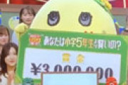 【動画】 ふなっしー、まさかの１１問連続正解で３００万円ゲットｗｗ