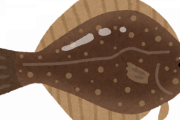 魚ってさ、焼いたら内臓ごと食える？カレイと真イワシなんだが