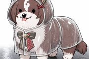 【ウマ娘】雨の日のマイルちゃん。←「この何も考えてなさそうな顔である」