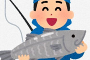 【画像あり】変な模様の魚釣ったんだけどなんて名前かわかる？