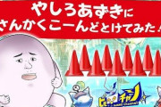 【画像】あの「やしろあずき」さんがテレビで月収を晒されてしまう・・・なんだよこれ儲かりすぎだろ