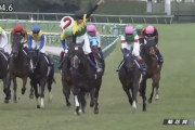 タイトルホルダー次走、香港ヴァーズか有馬記念