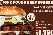 バーガーキング「うちも日本でマクドナルド級の大規模展開すれば天下獲れる。やらないけどね」